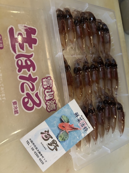 生ホタルイカ！